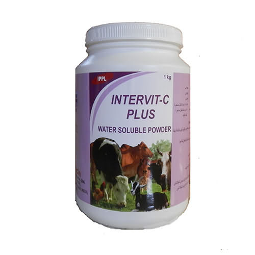 INTERVIT C PLUS INTERVIT C PLUS
